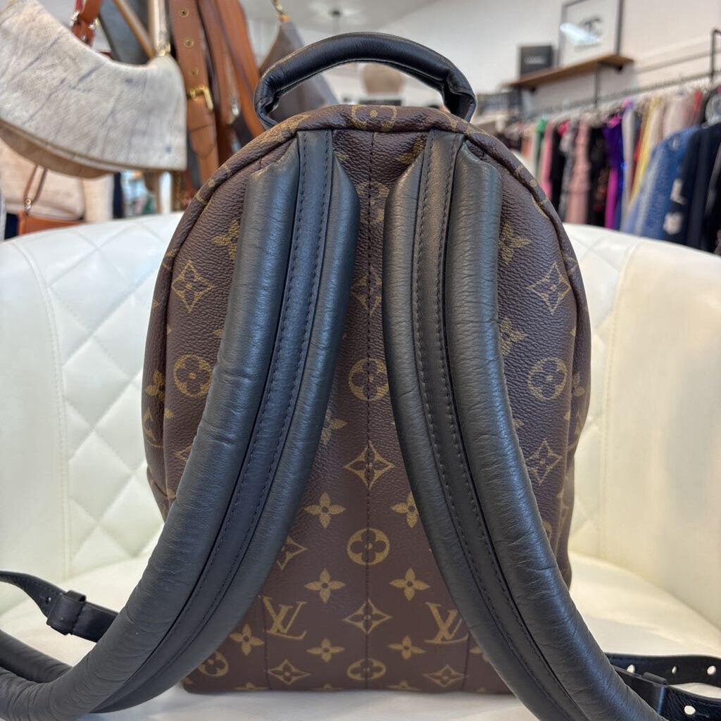 Louis Vuitton Palm Springs HANDBAGS monogram