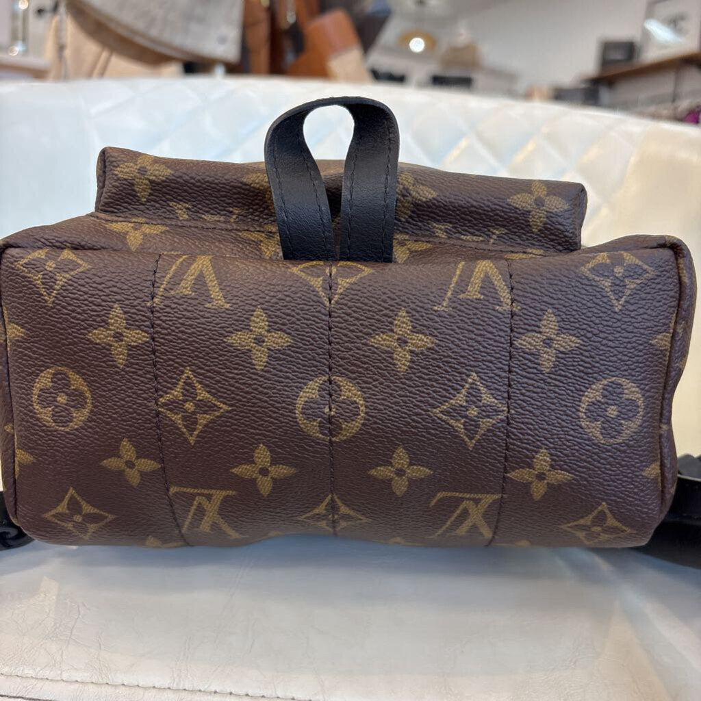 Louis Vuitton Palm Springs HANDBAGS monogram