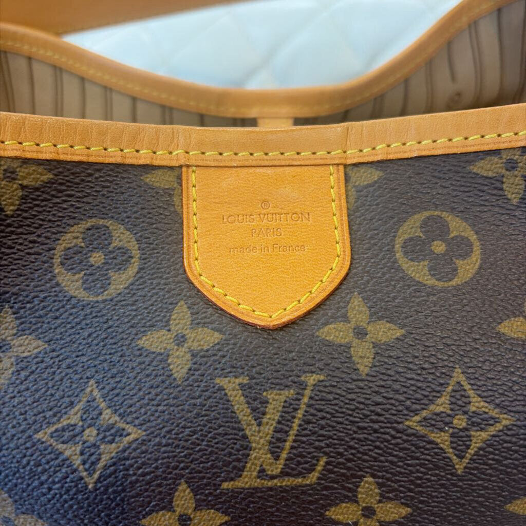 Louis Vuitton BAG monnogram