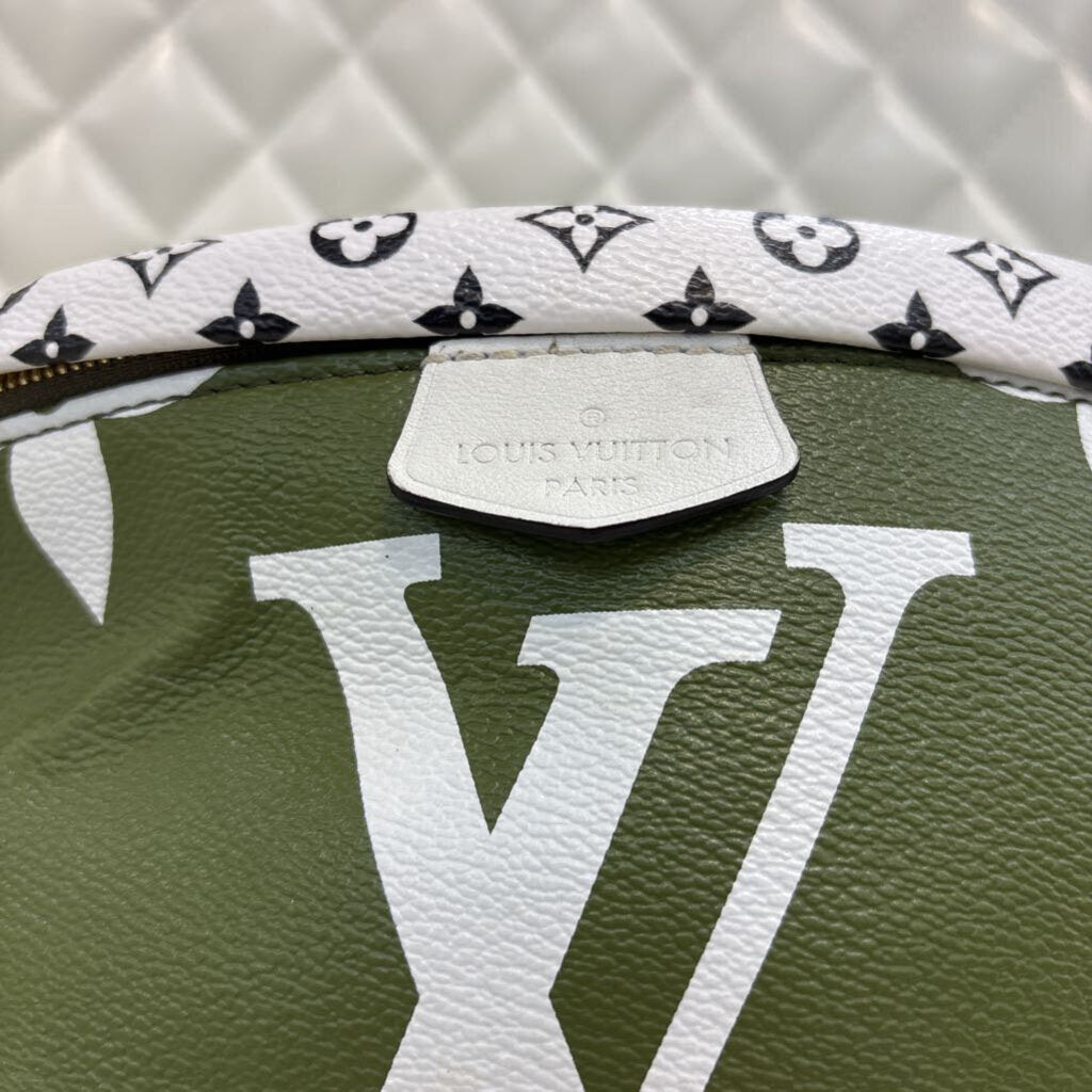 Louis Vuitton Bum Bag HANDBAGS green