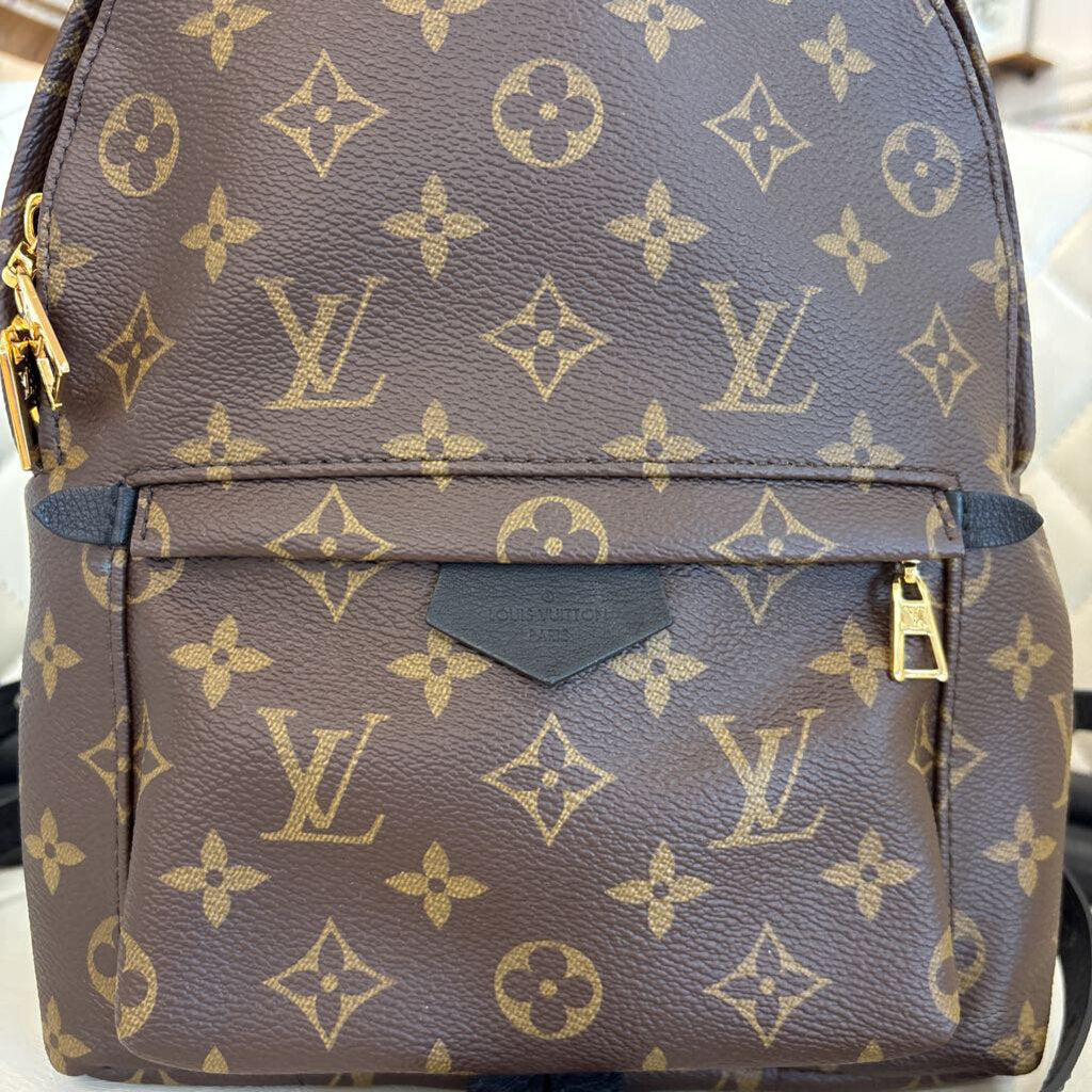 Louis Vuitton Palm Springs HANDBAGS monogram