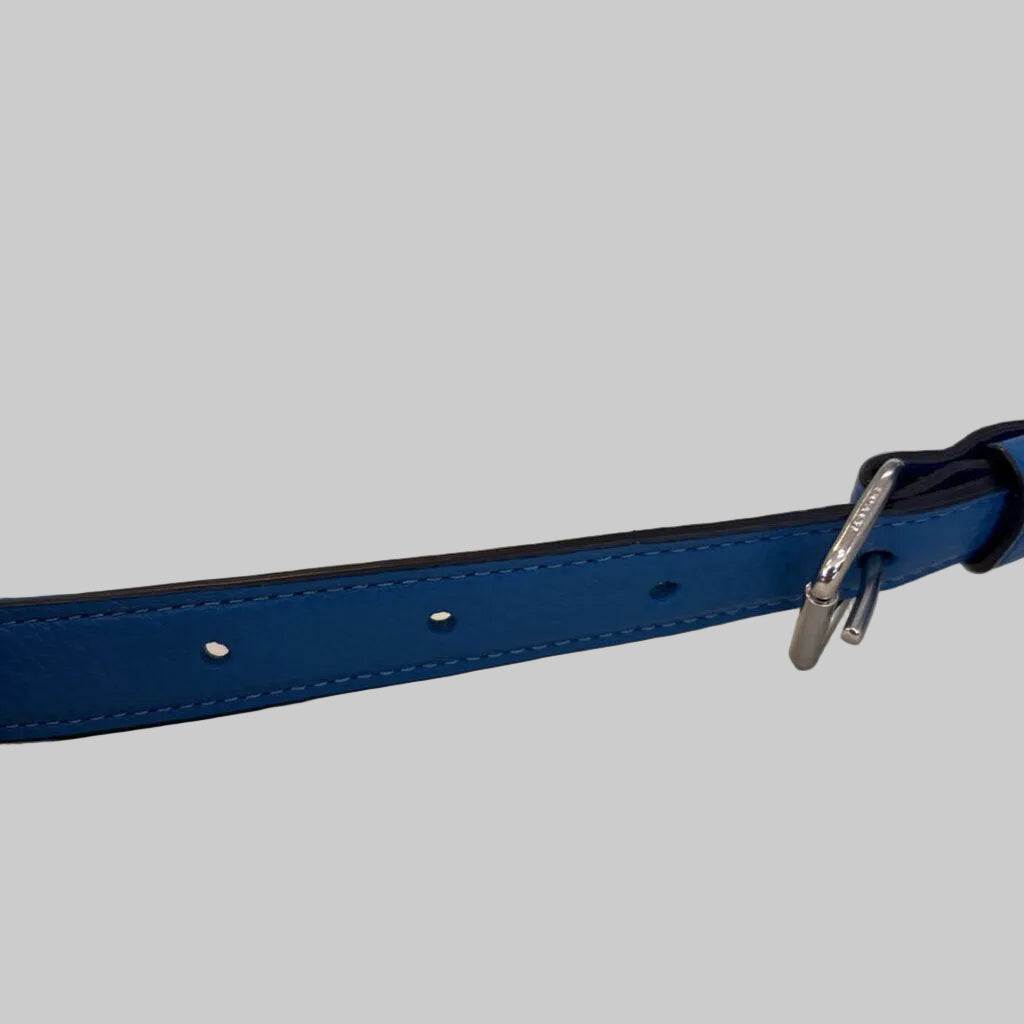 BAG Blue