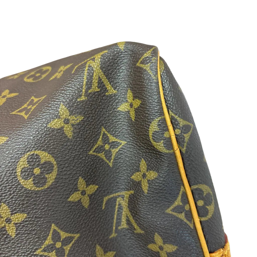 Louis Vuitton HANDBAGS 55 Monogram