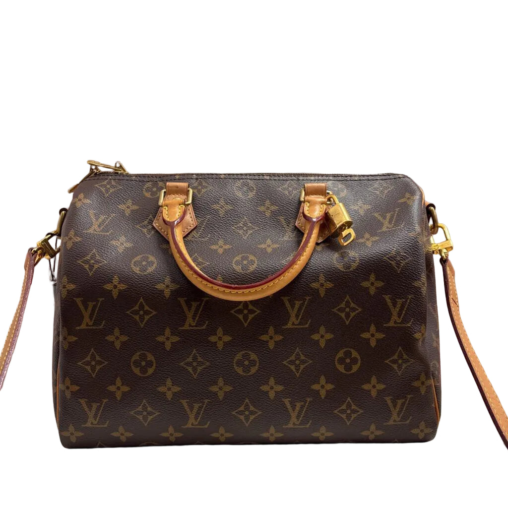 Louis Vuitton HANDBAGS 30 Monogram